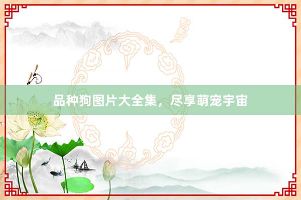 品种狗图片大全集，尽享萌宠宇宙