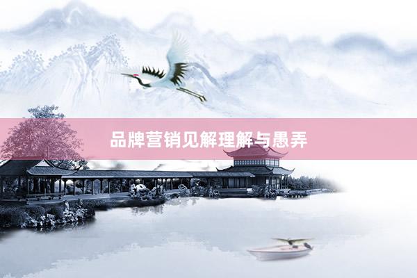 品牌营销见解理解与愚弄